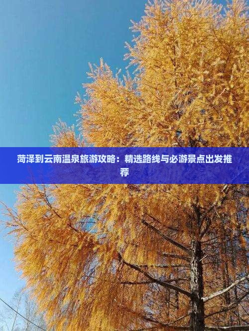 菏泽到云南温泉旅游攻略：精选路线与必游景点出发推荐