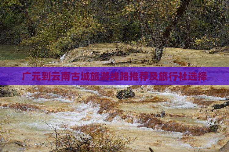 广元到云南古城旅游线路推荐及旅行社选择