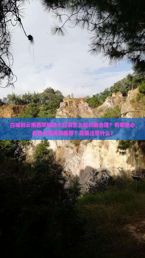 白城到云南西双版纳七日游