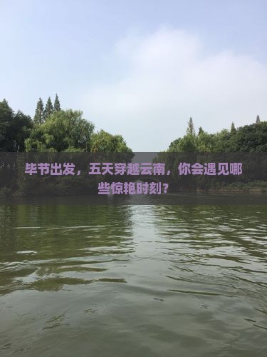 毕节去云南五日游