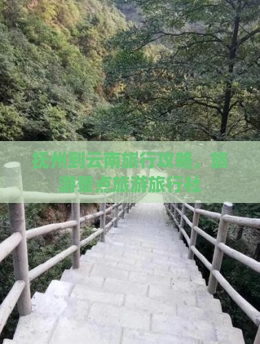 抚州到云南古城旅行社