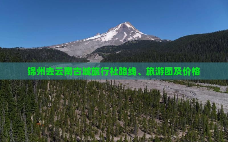 锦州去云南古城旅行社