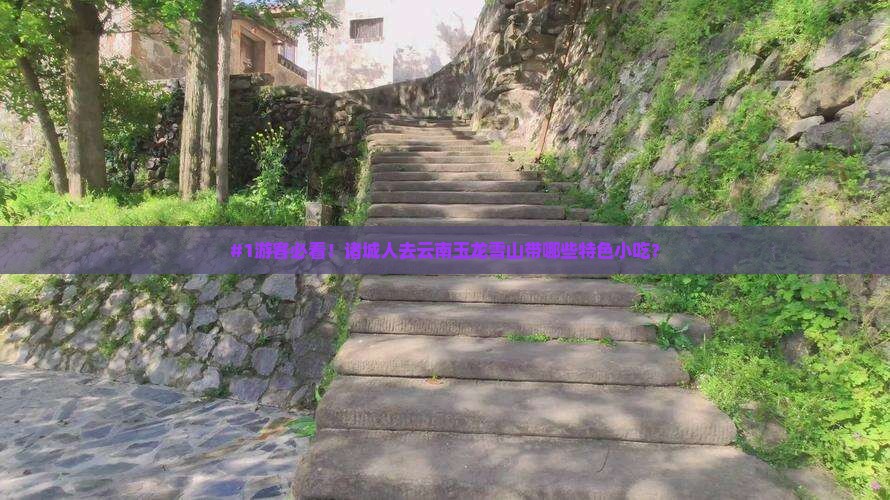 诸城去云南玉龙雪山旅游小吃