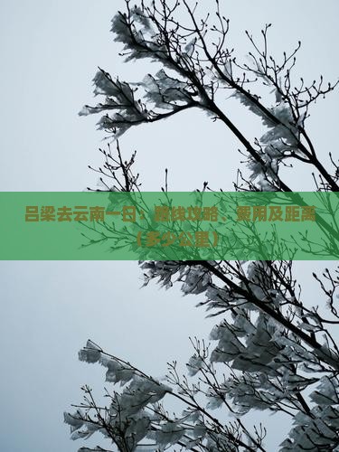 吕梁去云南一日