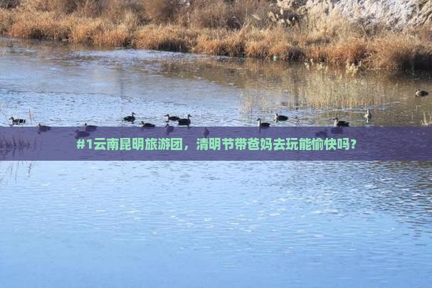 清明节去云南昆明大型旅游团