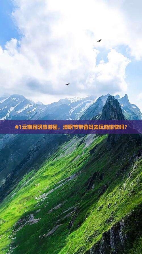 清明节去云南昆明大型旅游团