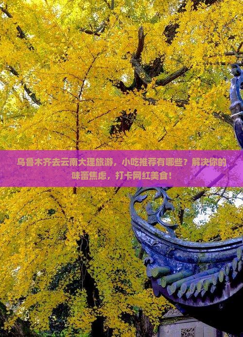 乌鲁木齐去云南大理旅游小吃
