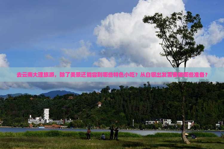 白银到云南大理旅游小吃