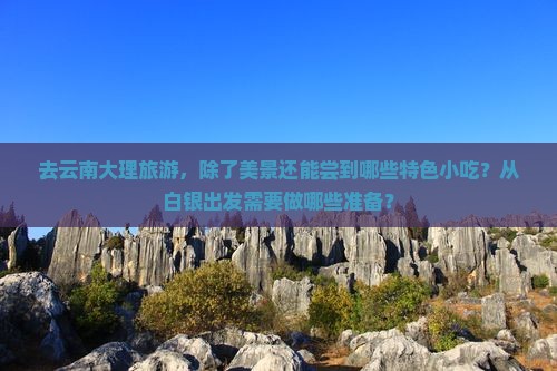 白银到云南大理旅游小吃