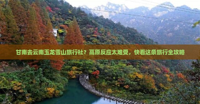 甘南去云南玉龙雪山旅行社