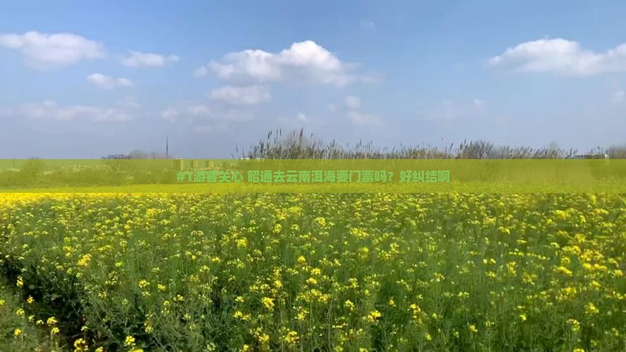 昭通到云南洱海门票