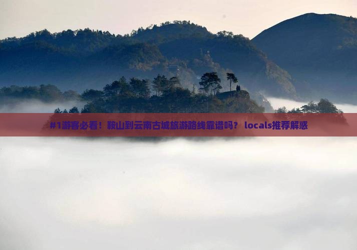 鞍山去云南古城旅行社