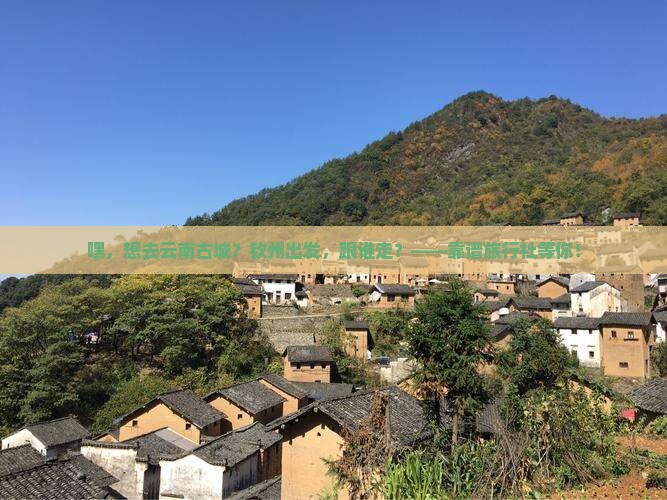 钦州到云南古城旅行社