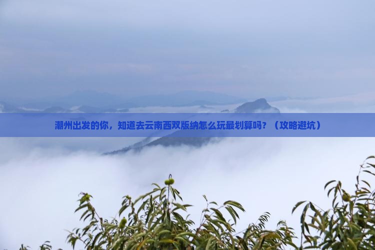 潮州去云南西双版纳大型旅游团