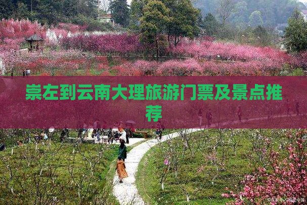 崇左到云南大理门票