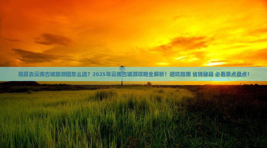 临夏去云南古城大型旅游团
