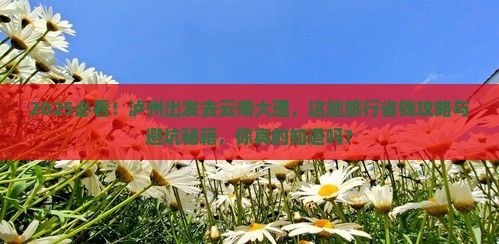 泸州到云南大理旅行社
