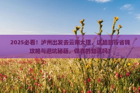 泸州到云南大理旅行社