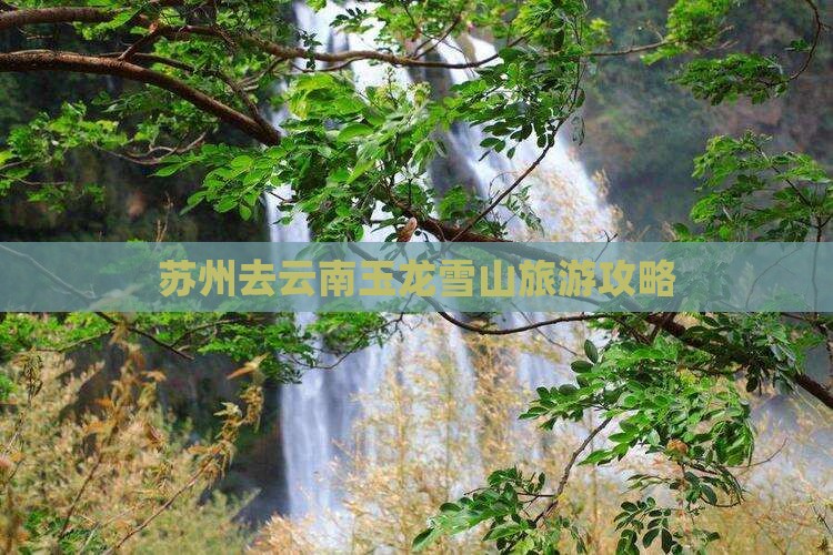 苏州去云南玉龙雪山攻略