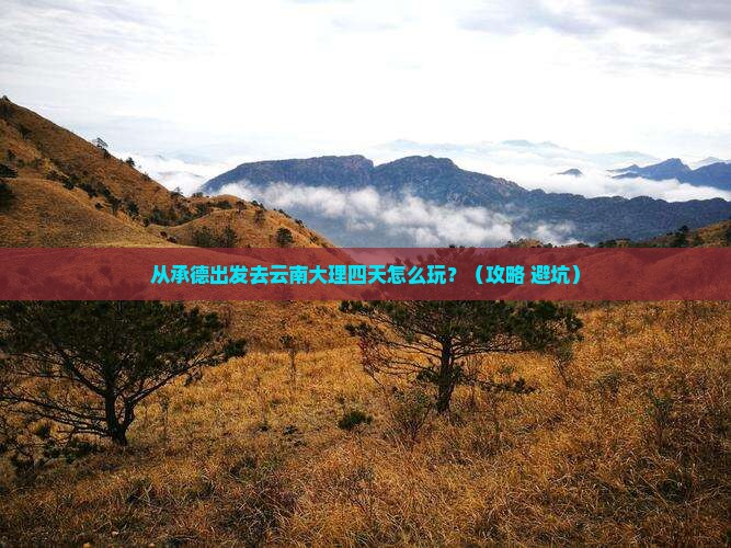 承德到云南大理四日游