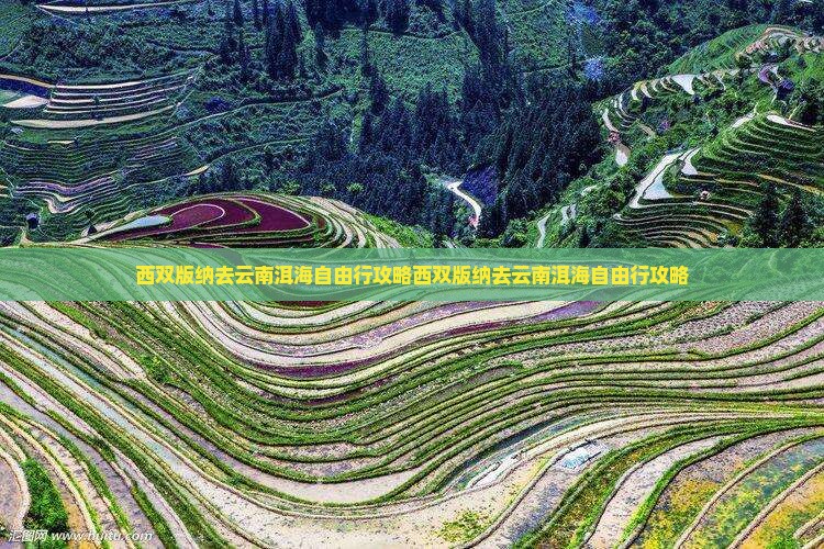 西双版纳去云南洱海自由行