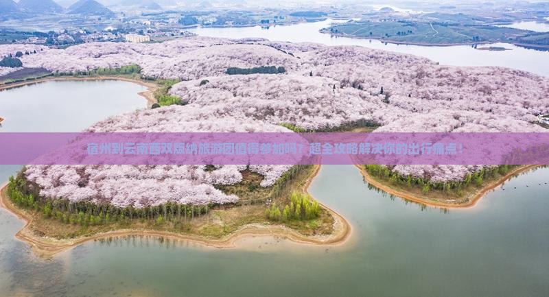 宿州到云南西双版纳大型旅游团