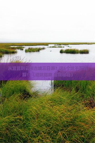 宜昌到云南古城三日游