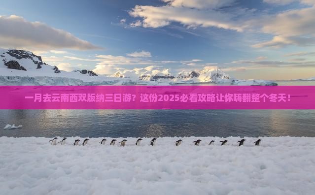 一月去云南西双版纳三日游