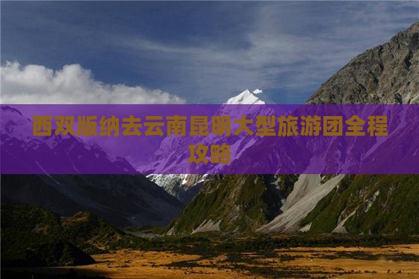 西双版纳去云南昆明大型旅游团