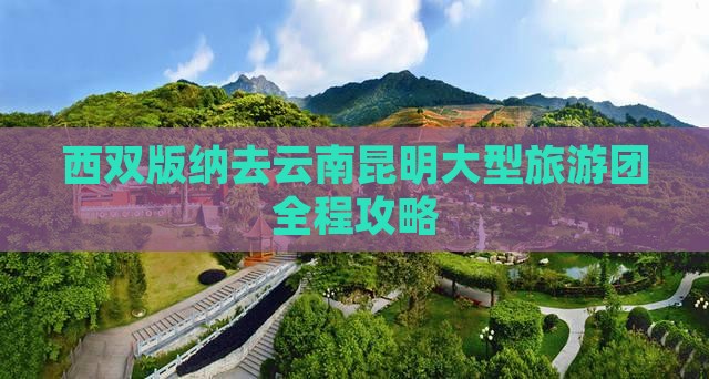 西双版纳去云南昆明大型旅游团