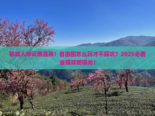 聊城去云南温泉自由团