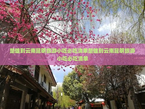 楚雄到云南昆明旅游小吃