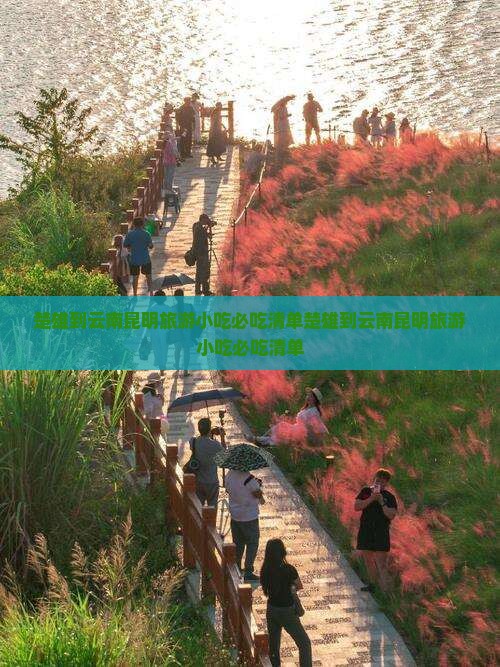 楚雄到云南昆明旅游小吃