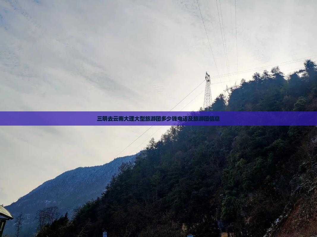 三明去云南大理大型旅游团