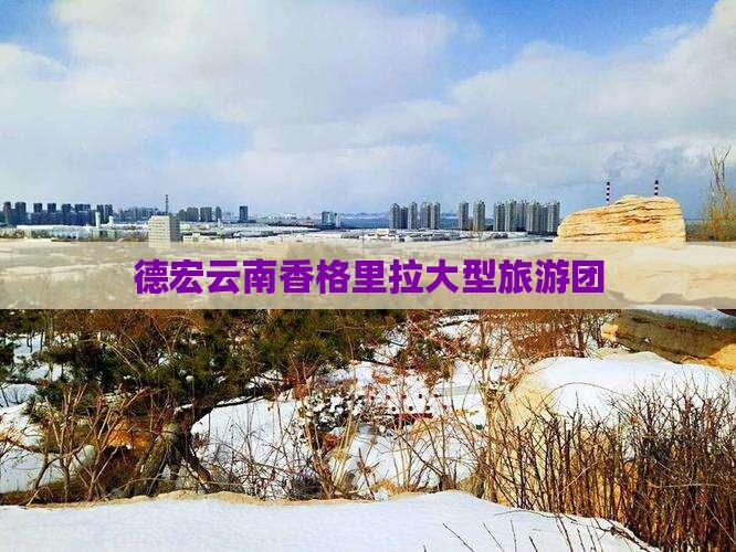 德宏去云南香格里拉大型旅游团