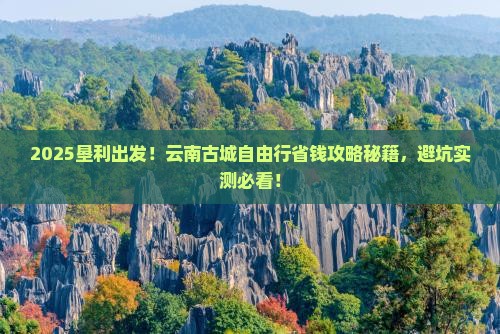 垦利去云南古城自由团