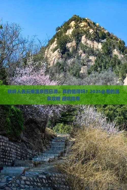 铁岭去云南温泉四日游