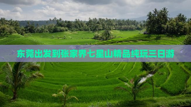 东莞出发到张家界七星山精品纯玩三日游
