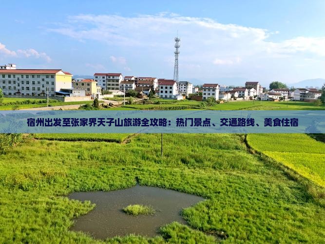 宿州出发至张家界天子山旅游全攻略：热门景点、交通路线、美食住宿