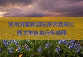 贺州游客畅游张家界森林公园大型自由行旅游团