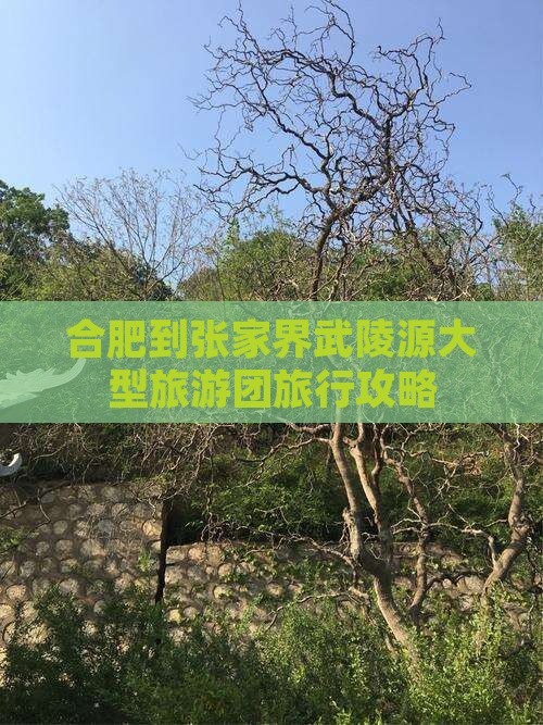 合肥到张家界武陵源大型旅游团旅行攻略