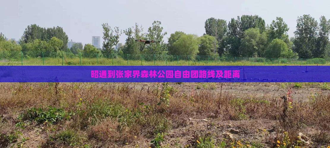 昭通到张家界森林公园自由团路线及距离