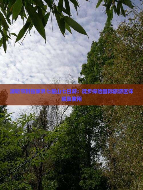 清明节到张家界七星山七日游：徒步探险国际旅游区详解及费用