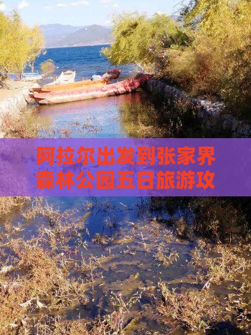 阿拉尔出发到张家界森林公园五日旅游攻略