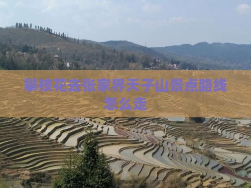 攀枝花去张家界天子山景点路线怎么走 攀枝花去张家界天子山景点路线怎么走