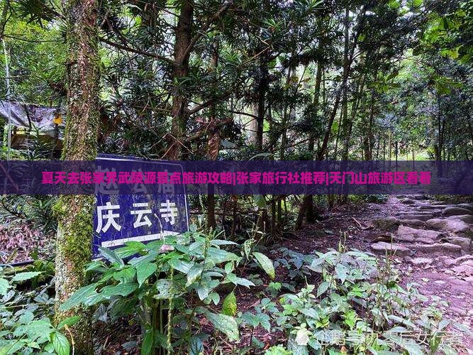 夏天去张家界武陵源景点旅游攻略|张家旅行社推荐|天门山旅游区看看 夏天去张家界武陵源景点旅游攻略|张家旅行社推荐|天门山旅游区看看