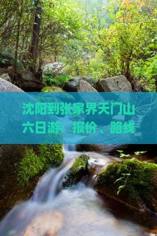 沈阳到张家界天门山六日游:报价、路线、公里数及旅游团详情 沈阳到张家界天门山六日游:报价、路线、公里数及旅游团详情