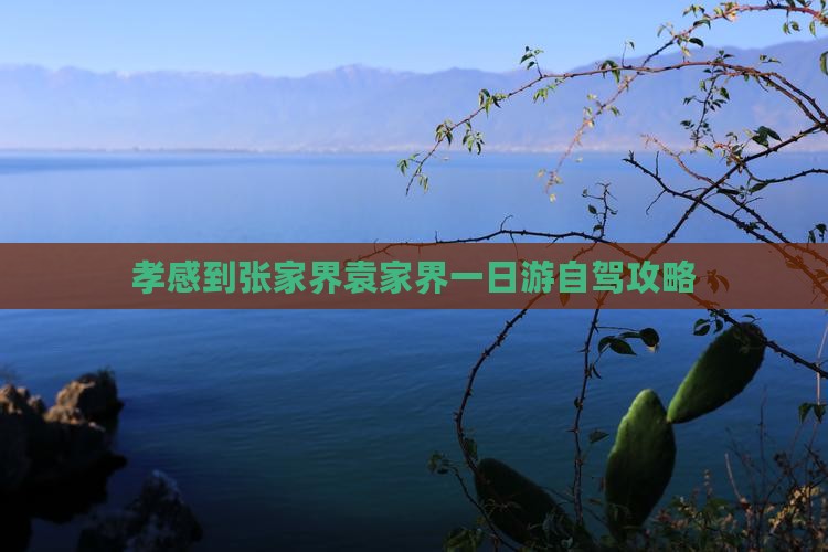 孝感到张家界袁家界一日游自驾攻略