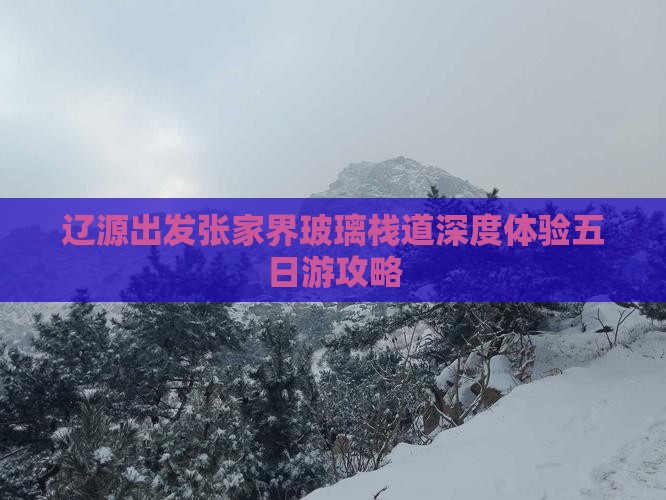 辽源出发张家界玻璃栈道深度体验五日游攻略