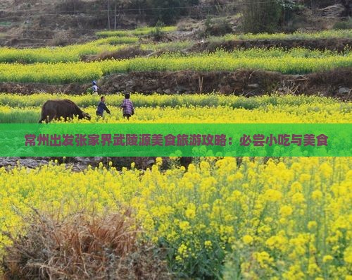 常州出发张家界武陵源美食旅游攻略：必尝小吃与美食